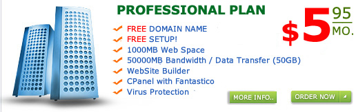 affordable personal simple and small business web hosting, $5 dollar hosting, php cgi perl and asp web hosting