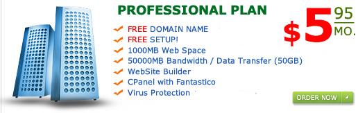 "Professional Plan" 1000MB web space 50GB Bandwidth only for $5.95 a month